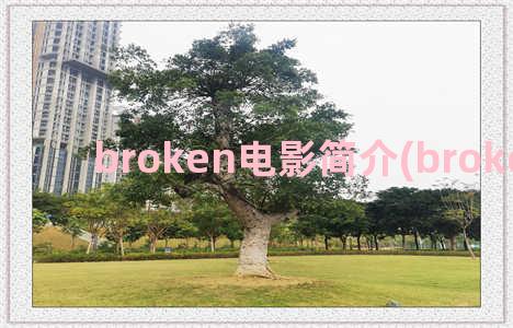 broken电影简介(broker 电影)